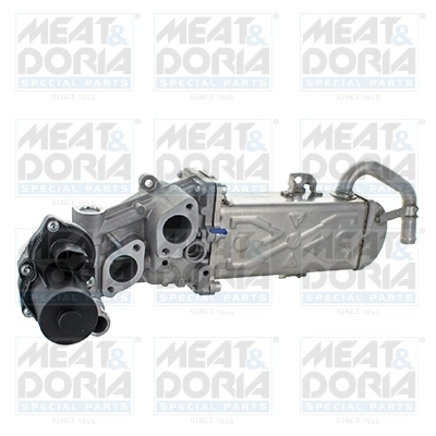 EGR Module